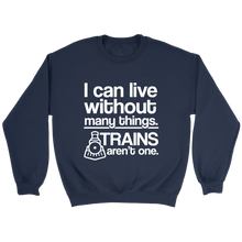 Load image into Gallery viewer, I Can Live Without Many Things Unisex Sweat Shirt Multi Colors Extended Sizes Shipping Included