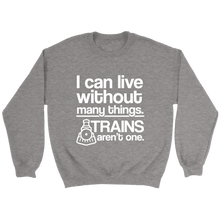 Load image into Gallery viewer, I Can Live Without Many Things Unisex Sweat Shirt Multi Colors Extended Sizes Shipping Included