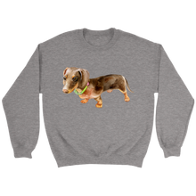 Load image into Gallery viewer, Doxie Flower Collar Unisex Sweatshirt Multi Color Extended Sizes Free Shipping