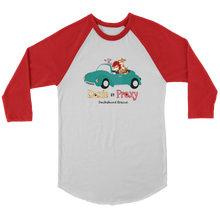 Load image into Gallery viewer, Doxie By Proxy Color Block Raglan T-Shirt, Unisex, Multi Colors, Extended Sizes, Shipping Included