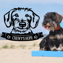 Load image into Gallery viewer, Cutie Dachshund Face You Must Have!  - Steel Sign. Multi colors & sizes available. Short, long hair, wire hair versions!