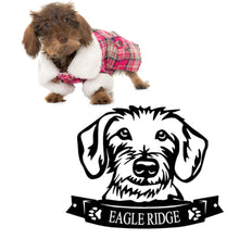 Load image into Gallery viewer, Cutie Dachshund Face You Must Have!  - Steel Sign. Multi colors & sizes available. Short, long hair, wire hair versions!