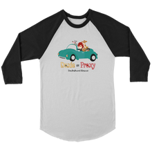 Load image into Gallery viewer, Doxie By Proxy Color Block Raglan T-Shirt, Unisex, Multi Colors, Extended Sizes, Shipping Included