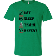 Load image into Gallery viewer, Eat Sleep Train Repeat Mens Unisex T-Shirt, Multiple Colors, Extended Sizes, Shipping Included