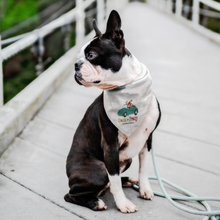 Load image into Gallery viewer, Doxie By Proxy Logo Dog Bandana, Shipping Included