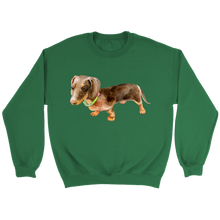 Load image into Gallery viewer, Doxie Flower Collar Unisex Sweatshirt Multi Color Extended Sizes Free Shipping
