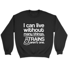 Load image into Gallery viewer, I Can Live Without Many Things Unisex Sweat Shirt Multi Colors Extended Sizes Shipping Included