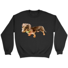 Load image into Gallery viewer, Doxie Flower Collar Unisex Sweatshirt Multi Color Extended Sizes Free Shipping