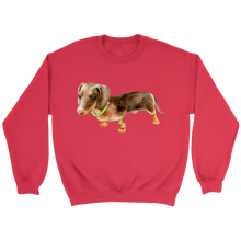 Load image into Gallery viewer, Doxie Flower Collar Unisex Sweatshirt Multi Color Extended Sizes Free Shipping
