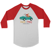 Load image into Gallery viewer, Doxie By Proxy Color Block Raglan T-Shirt, Unisex, Multi Colors, Extended Sizes, Shipping Included
